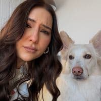 TikTok Account - iamagasava