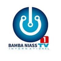 TikTok Account - bambaniass_officiel