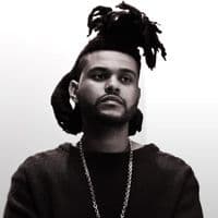 TikTok Account - kisskane