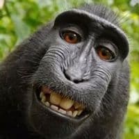 TikTok Account - kevinrelacie4