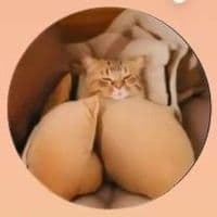 TikTok Account - power.adams