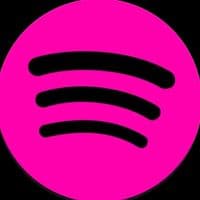 TikTok Account - speditwit