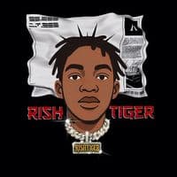 TikTok Account - rishtigerlyrics