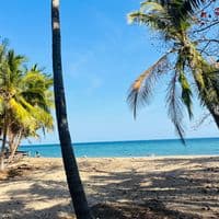 TikTok Account - may.talent