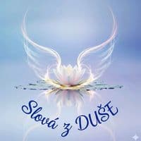 TikTok Account - slovazduse