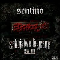 TikTok Account - sentino_9