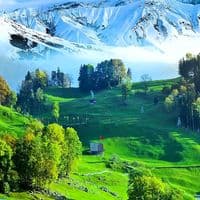 TikTok Account - naturevibes689