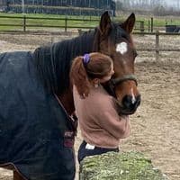 TikTok Account - rinkeee