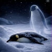 TikTok Account - films.serie11