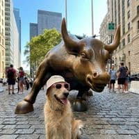 TikTok Account - jaimettiktokshop_