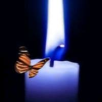 TikTok Account - quote_palace