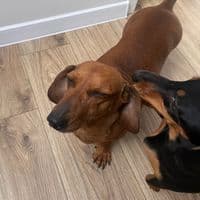 TikTok Account - mijonerka