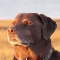 TikTok Account - tom_rat1