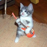 TikTok Account - that__music__guy