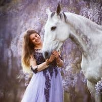 TikTok Account - paardzoektbaasss