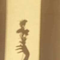 TikTok Account - mm_yun_