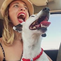 TikTok Account - danae.evie