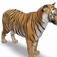 TikTok Account - minabamen