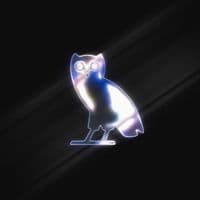 TikTok Account - lund336