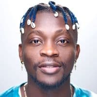 TikTok Account - loicreyel_official