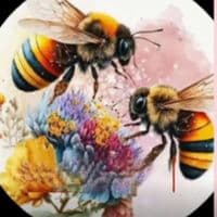 TikTok Account - lucie.10040