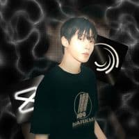 TikTok Account - freyas.lyricxs