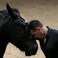 TikTok Account - carmine.pignataro.show