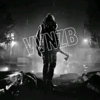 TikTok Account - vvnzb