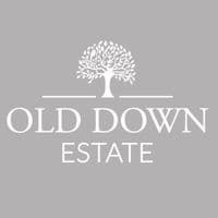 TikTok Account - olddownestate