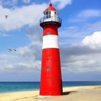 TikTok Account - tata_ard