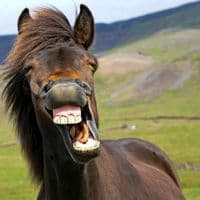 TikTok Account - juliandertrader123