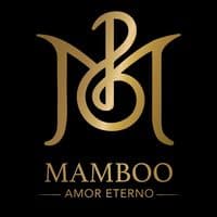 TikTok Account - mamboo.iasi