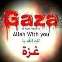 TikTok Account - mo31_hamed0