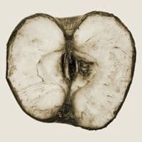 TikTok Account - lolacola00