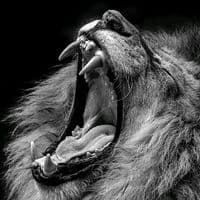 TikTok Account - heart.broken_10