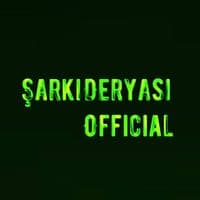 TikTok Account - sarkideryasiofficial