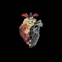 TikTok Account - soulfulsayings33.33