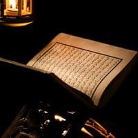 TikTok Account - zargamaro