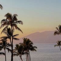 TikTok Account - canzoni..tiktok_