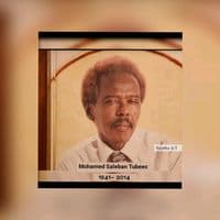 TikTok Account - aarlibaah