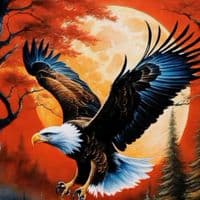 TikTok Account - alex..0050