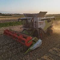 TikTok Account - agrar_studio