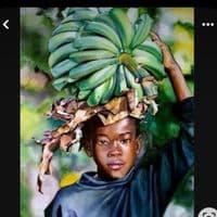 TikTok Creator - teamrelax49