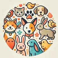 TikTok Account - txc_marci