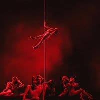 TikTok Account - mojtempo