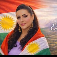 TikTok Account - leylakhan77