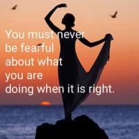 TikTok Account - loulougrease