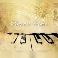 TikTok Account - timpuriuitate