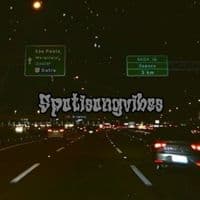 TikTok Account - spotisongvibes