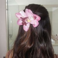 TikTok Account - sweetlyricsm